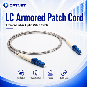 Customized Size 1M 3M Fiber Optic Patch Cord Armored Singlemode Duplex 9/125 OS2 LC UPC LCSM(Jumper) SM OS2 Communication Cables