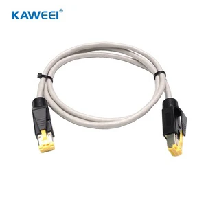 Customized Extended UTP Double Cat 5e Ethernet Network Cable Assembly for Intelligent Device