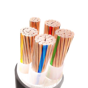 Manufacturer Wholesale: 100% Copper-Core Power Cables (Customizable)