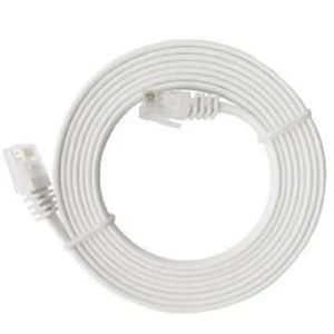 5m PVC Outdoor Network Cable 1m-100m Copper Ethernet Cable 4 Pairs Cat5e Cat6 Utp/Ftp Sftp Flat Patch Cable for Networking