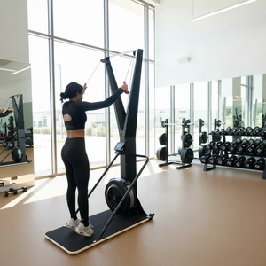 Cheernin Mechanical Steel Wind Resistance CrossFit HIIT Cardio Gym Equipment Commercial Air Ski Machine LED Screen 10 Resistance