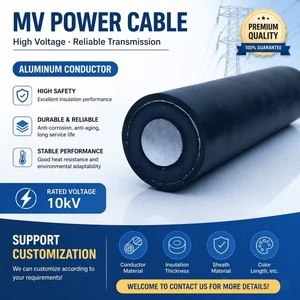 IEC 60502 Single Core YJLV22 Aluminum Power Cable 8.7/15kV 26/35kV XLPE Insulated STA Armored Medium High Voltage Electric Cable