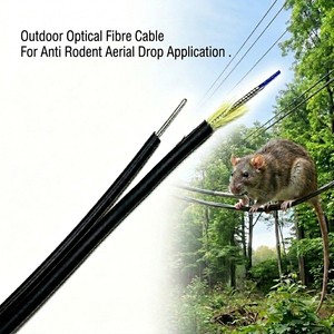 For Anti Rodent Aerial Drop Application LSZH Jacket Indoor/Outdoor Armored Optic Fiber Cable Fig 8 Drop Cable Self Supporting