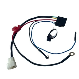Professional Cables Assembly Supplier 2 Pin Terminal Custom Medical Equipment Cable Medical Wiring Harness