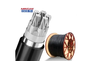 Low Voltage 0.6/1KV Aluminum Electrical Cable 300mm 50mm 10mm 35mm 25mm 3 4 5 Core XLPE PVC Steel Tape Wire Armored Copper 6mm