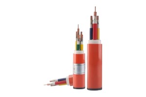RVV Multi Core Control Cable for Elevator Control & Fire Alarm System ,Flexible Copper Wire for Building Safety Projects