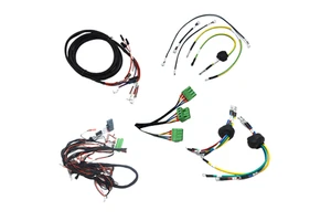 Customized Cables Assembly Jst Sh Mx Gh Zh Ph Eh Xh Vh Male Female Connector Electric Engine EV Wire Harness PVC Nylon Insulated