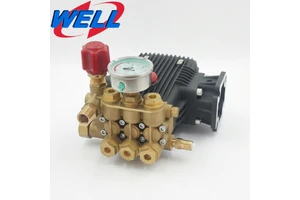 WEITE 1507A NEW High Pressure Petrol Triplex Plunger Pump 3200PSI 13LPM Heavy Duty for Car Wash Shop & Optics Industry
