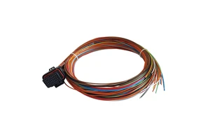 34P MIL-W22759/16 2.5m G4X ECUs ETFE Coated Tefzel Wire Wiring Harness ECU Universal Harness For Motorsport