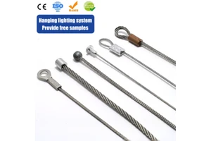 Custom Stainless Steel Wire Rope Assembly With Loop End Ceiling Hanging Kit For LED Panel Suspension Signage Display SafetyCable