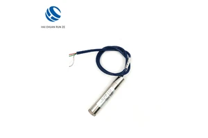 HCRZ-SWY10 Vibrating Wire Piezometer-High-Accuracy Pore Water Pressure Sensor IP65 Protection Stainless Steel for Dams