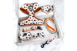 2026 Custom Designer Neoprene Dog Harness Luxury No Pull Adjustable Pet Harness Leash Collar Set Manufacturer Dog Harness Set
