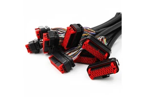 Custom 776164-1 35P Connector Car ECU Cable Assembly And BMS Wire Harness