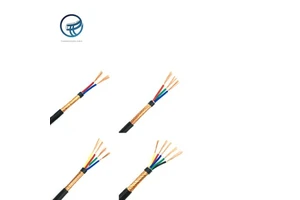 Hot Selling 2core 3core 4core 5core RVVP Shielded Control Cable PVC Multi-Core Copper Electric Wires for Industrial Use