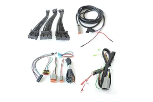 Auto China Professional Cable Assembly Manufacturer Custom Production All Kinds of Custom Wire Harness Custom Cable