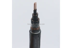 Copper XLPE Insulated Multi-Core 2 Pair 6 Pair Twist Control Cable Kvv Kvvp Kvvp2 Armoured Cable