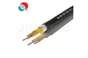 NH-KVV Fireproof Control Cable for Rail Transit Fire Emergency Equipment Wiring