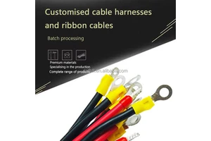 OEM/ODM Professional Cables Manufacturer Custom Production Wiring Harness OEM Cable Assembly
