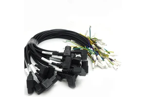 Customized High Quantity Copper Wire Harness Cable Assembly with Adapter Connector 200mm Length for Electric Vehicle