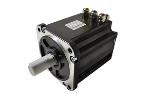 Delta Single-phase 100W Servo Motor with Spindle Motor and Direct Drive IE4 Efficiency Flange Mount 3000 RPM