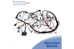China Auto Cable Assembly Manufacturer Car Automotive Wire Harness Kit Custom Wiring Harness Solution Manufacturer