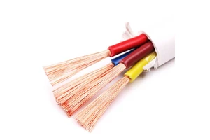 Anti-Interference RVV Multi-Core Cable Wire Ideal for Industrial Control Signal Transmission