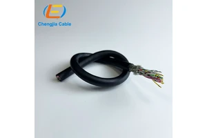 Multi Core Twisted Pair Shielded Power Control Cable Awm IO Wire Cable Power Cable