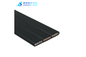 H07VVH6-F Flat Festoon Cable 2-48core 0.5-120mm H05VVH6-F Gantries Cables YVFB Mobile Trailing Cables Flexible Flat Crane Cable