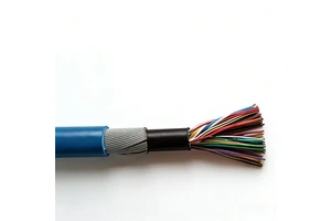 Industrial Control Cable 0.75-10mm², 300/500V, 2-37 Core, Copper Conductor with Armored Option for Machinery & Instrumentation