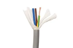 Jianglong High Flexible Robot Cable Tow Chain Cable TRVV Shielded Wire for New Energy Industrial PVC Electric TRVV Shielded Wire