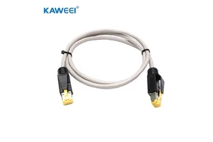 Customized Extended UTP Double Cat 5e Ethernet Network Cable Assembly for Intelligent Device
