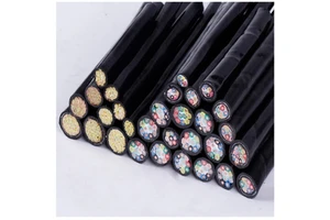 Multi Core Customized WDZ-KYJY 6mm ² / 2 to 61 Core 450/750V XLPE Insulated/ Sheath Low Smoke Halogen-Free Control Cable