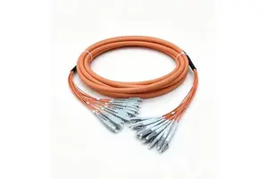 OEM High Voltage Power Cable LC/SC/ST/FC To LC/SC/ST/FC 12-Fiber Multi-Mode Outdoor Armored Breakout Fiber Optic Patch Cord