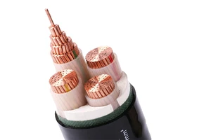 Cable Manufacturers Offer Customized Services for Multi-core Cables.