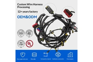 Teonle 12-year-old Wire Harness Factory Custom Automotive Wire Harnesses Industrial Connecting Wires New Energy High/low