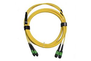 Custom Mtp Fiber Jumper Cable Senko Mpo/apc Female To Mpo/apc Female 12 Core Sm 3.0mm Type A 5/10/25m Optical Fibre Patch Cord