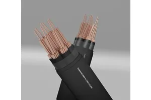 5core 7core 12core 0.6/1kv N2XY Control Cable Multi-core Copper Cable XLPE Insulated PVC Sheathed Non Armoured Control Cable