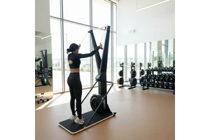 Cheernin Mechanical Steel Wind Resistance CrossFit HIIT Cardio Gym Equipment Commercial Air Ski Machine LED Screen 10 Resistance