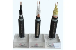 PVC Insulated Unshielded Control Cable 1.5 mm 2.5 mm Multi-Core 2 4 7 10 19 48 61 Core for Various Applications