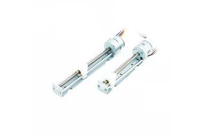High Quality 20mm Pm Linear Stepping Motor Lead Screw M3 Travel Stroke Length of 100mm with Brass Slider SM2037