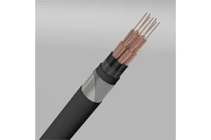 Industrial Control Cable 24/30/61 Cores Copper Conductor PVC-Insulated Galvanized Flat Steel Wire Armor 0.6/1 KV 24/30/61 Cores