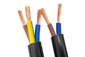 Multicore 2/3/4/5/6 Core Shielded Tinned/Pure Copper Rvvp Signal Control Cable Power Cables