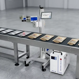 Automatic Online UV Flying Laser Coder for Production Line High Speed Date Batch QR Code Marking Machine CE Certificate