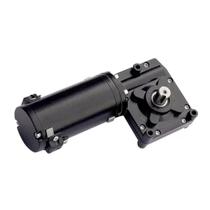 73ZY-102WJ 150W/180W DC Worm Gear Motor for Golf Cart Electric Bicycle Permanent Magnet Construction Brush Commutation 120N.m