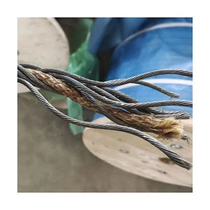 Lifting Steel Wire Rope8*19s/8x19 Galvanized Elevator Steel Cable