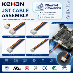 Custom JST Cable Assemblies 2P 3P 4P 5P 6P Jumper Electrical Wire Harness PVC 5mm 1.0 1.25 1.5 2.0 2.54mm Pitch JST ZH PH EH XH