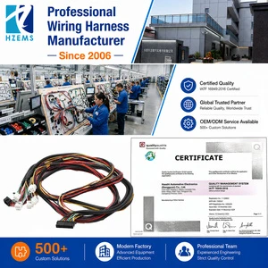 Custom Door Panel Wiring Harness Auto Wire Harness Custom Wire Harness Cable Assembly Cable Assembly Wire Harness Replacement