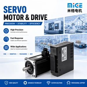 Black Brushless Servomotor Low Noise Precision Encoder Servo Motor for Robotics Packaging Machinery OEM Bulk Purchase