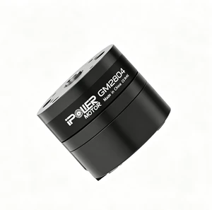 IPower GM2804 Hollow Shaft BLDC Motor with Encoder AS5048A High Precision Angular Feedback for Custom Optical Platforms