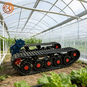 Flexible Size Track Chassis Transmission Assembly For Mini Crawler Excavator Dozer Agricultural Machinery Factory